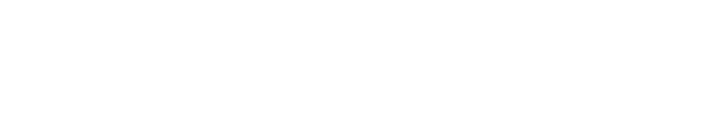 porsche-logo-white.png
