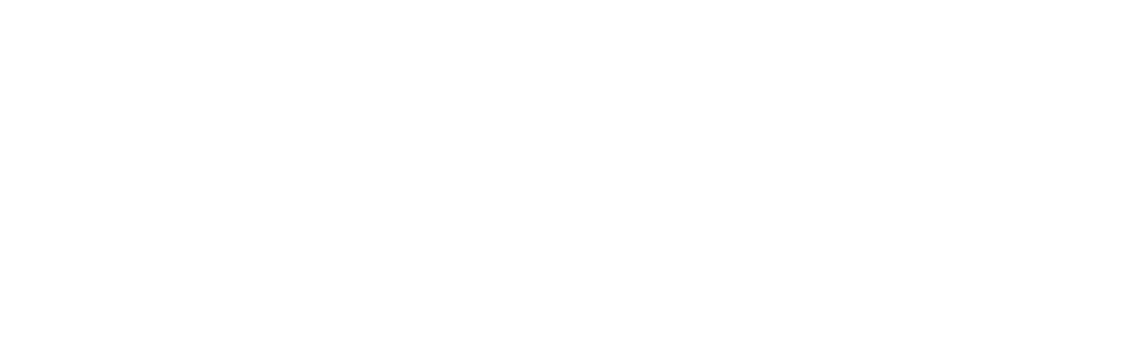 desination-nsw-white.png